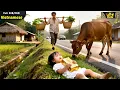 Download Lagu Ông Nông Dân Què Nhặt Đứa Bé Sơ Sinh Bị Bỏ Rơi Về Nuôi, 18 Năm Sau Thành Nữ Tổng Tài Tìm Ông Báo Ơn