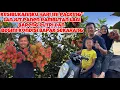 Lagu KESIBUKAN DIRUMAH PANEN RAMBUTAN LAGI BARENG PUTRI DAN ALHAMDULILLAH BEGINI KONDISI BAPAK