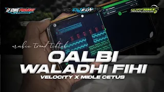 dj arabic qalbi waladhi fihi viral tiktok 