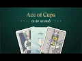 Ace of Cups - Upright Meaning Keywords and Advice