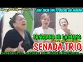 Download Lagu SENADA TRIO - TANGIANG NI DAINANG (Cover) Latihan Saja Sudah Mallasak  @hangganeriksonchannel8093