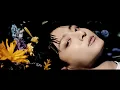 Download Lagu BTS (방탄소년단) JUNGKOOK 'Hate You' MV