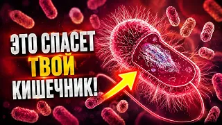 Кишечник как новый, нужно лишь… [Научно доказано]