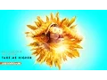 Download Lagu Demi Kanon \u0026 The Vision - Take Me Higher (Official Video)