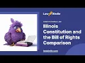 Illinois Constitution and the Bill of Rights Comparison - Essay Example