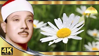 ابتهالات الشيخ عبد الباسط عبد الصمد دندنها