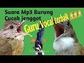 Download Lagu Suara mp3 Pancingan cucak jenggot SUPER PEDAS||Suara masteran CUCAK JENGGOT trotol dan dewasa