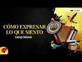 Cómo Expresar Lo Que Siento, Binomio De Oro De América, Video Letra - Sentir Vallenato