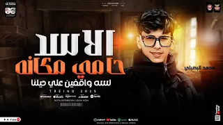 الاسد حامي مكانه لسه واقفين علي حيلنا متخافوش محمد البصيلي ترند التيك توك ميكس حظ شعبي 2025 