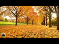Download Lagu ВОССТАНОВЛЕНИЕ НЕРВНОЙ СИСТЕМЫ! ОСЕНЬ, ОСЕНЬ ЖЕЛТАЯ ЛИСТВА...\