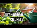 How to apply fertiliser to vegetables NPK CAN Application DIY Fertiliser Application