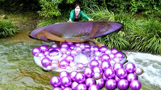 🎁🎁Pry open the giant pearl clam, countless enchanting purple pearls flow out, extremely beautiful
