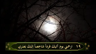 دعاء الحزين    السيد وليد المزيدي دندنها