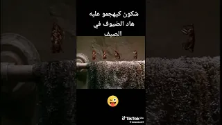 حنا جينا 