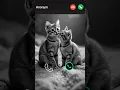 Download Lagu #call #iphone #ringtone #smartphone #ringtones #innovation #iphone15 #mobiletech #tech #cat