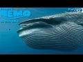 Download Lagu Finding Nemo: The Live Action Remake (Part 19)