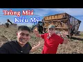 Download Lagu Hai Lúa Việt Đứng Hình Nhìn Hai Lúa Mỹ Làm Nông 