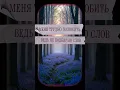 Download Lagu BORDUN — Polubit' | Слушать на Яндекс Музыке: https://music.yandex.ru/album/35373099