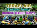 Lagu PANDUAN TERAPI AIR UNTUK SEMUA BURUNG, TERAPI AIR UNTUK SEMUA JENIS BURUNG MACET BUNYI 
