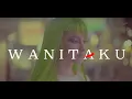 Download Lagu SAS (Sasando \u0026 Sape') Cover - WANITAKU ( NOAH )