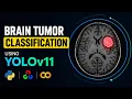 Brain Tumor Classification using YOLOv11 Deep Learning Tutorial