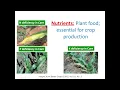 Nutrient Cycles Part 1 Nitrogen and Phosphorus Fundamentals of Nutrient Management 2022