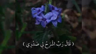 شريف مصطفي ربي اشرح لي صدري اجمل صوت 