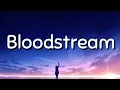 Download Lagu Neoni - Bloodstream (lyrics)