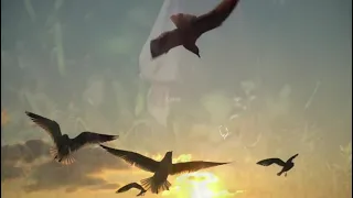 ياحبيبي انا عصفورة الساحات 