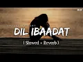 Download Lagu Dil Ibaadat - Lofi (Slowed + Reverb) | KK | SR Lofi