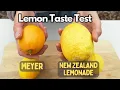 Download Lagu Meyer Lemon vs New Zealand \