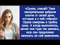 Download Lagu Сынок, спасай! Твоя ненормальная забрала ключи от своей дачи, которые я у неё спёрла!