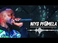 Download Lagu Zito Mambone - Swilava ku Pfumela | Oficial Audio