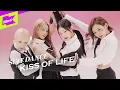 Download Lagu KISS OF LIFE (키스오브라이프) - Midas Touch | 수트댄스 | Suit Dance | Performance | 4K
