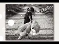 حكـــم البـــشر . طـــلال ســـلامة