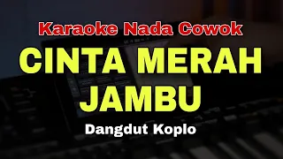 cinta merah jambu karaoke nada cowok