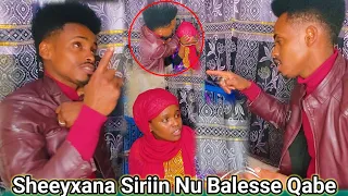 Sheeyxana Qabee Kuno Dawwadha 