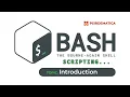 1 Bash Scripting Introduction Creating Bash Scripts and Making them Executable