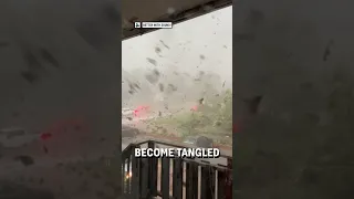 What It S Like Inside A Tornado Viralhog  What It S Like Inside A Tornado Viralhog