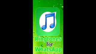                    نغمة واتساب دندنها