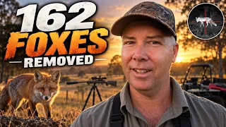Mind Blowing Predator Control Result | 162 Foxes in One Biosecurity Program