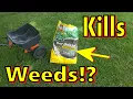 ANY GOOD Scotts Turf Builder Weed and Feed Fertilizer