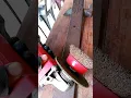 Essential Guide for Using a Wheel Brush Safely With Grinder