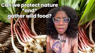 Thinking about wild food access… would love your opinions ❤️‍🩹