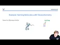 IUPAC Naming Example with Stereochemistry Learn Organic Chemistry with Wizeprep