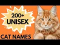 200 Unisex Cat Names PERFECT for your Male or Female cat Unique Boy Girl Cat Names