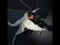 Angel - Dani Offline