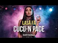 Download Lagu Lasă Fă cucul în pace! | DoNY DoReLa (Manea Pop Remix 2025)