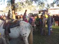 2016 Courir de Mardi Gras - Mamou - The Music begins to play