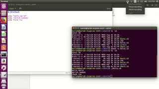 Shell Scripting-echo command